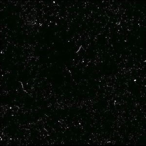 Meet your Posher, Jami